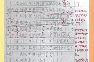 如何为重要的人策划一场难忘的生日体验？