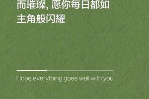 让每个生日都闪耀：从心意到惊喜的完美生日策划指南